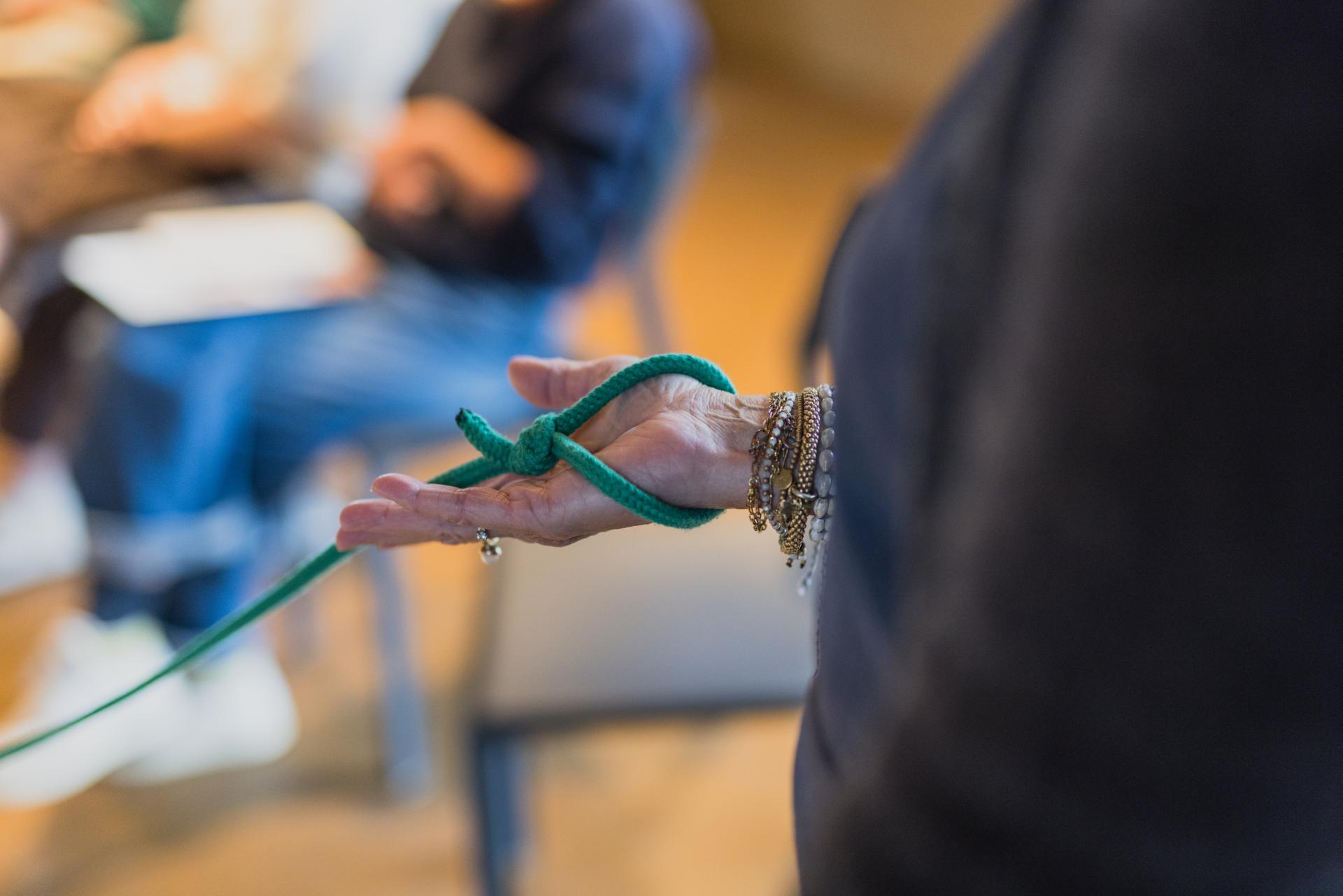 Systemisch Werk Begeleiden Leren Praktijk