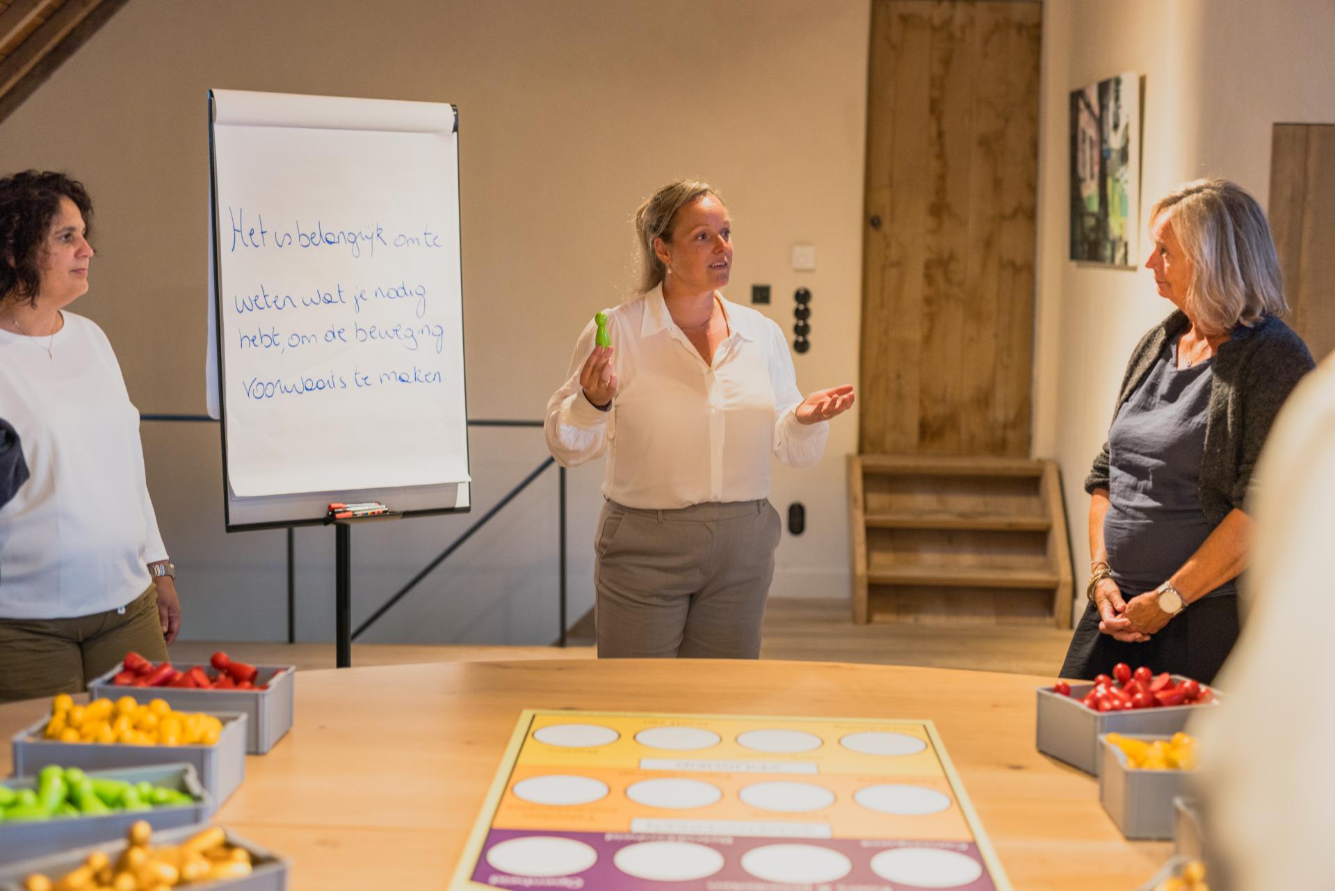 Teamhuis Werkvorm Opstelling Veronique Van De Vorst